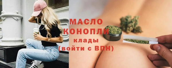 тгк Гусев