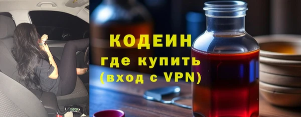 амф Гусь-Хрустальный