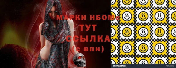 тгк Гусев