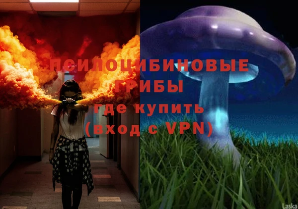 тгк Гусев