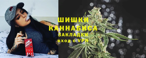тгк Гусев